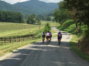 Riding on Wade's Gap Road